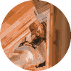 Attic Inspections service photo