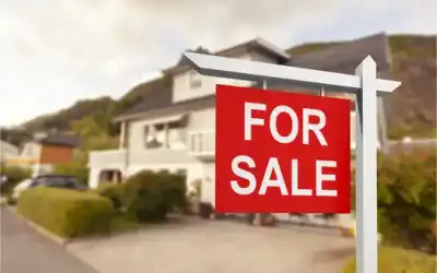 The Importance of Attic Inspections for Home Sellers and Realtors